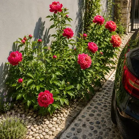 Apartment Roseart Nest Ljubljana