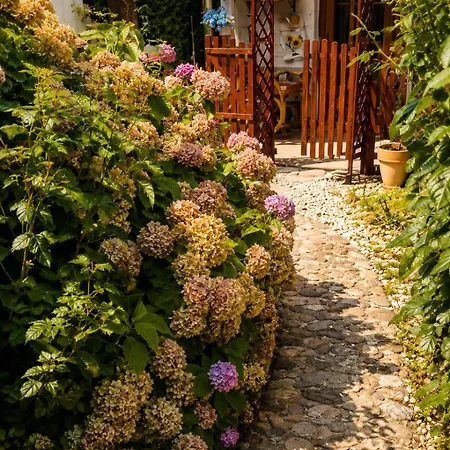 Roseart Nest Apartment *